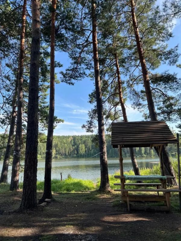 «Земля под страусов» с видом на водохранилище: экс-глава Ермаковского района и его начальница отдела архитектуры предстанут перед судом «Земля под страусов» с видом на водохранилище: экс-глава Ермаковского района и его начальница отдела архитектуры предстанут перед судом