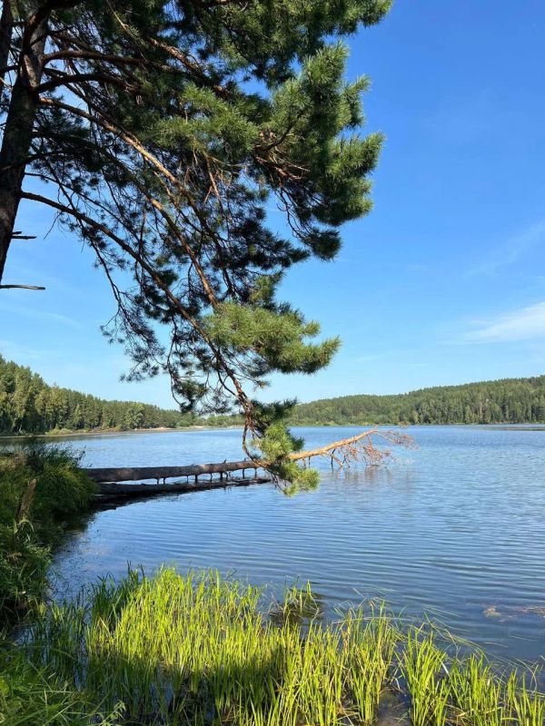 «Земля под страусов» с видом на водохранилище: экс-глава Ермаковского района и его начальница отдела архитектуры предстанут перед судом
