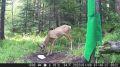 ��� �������, ��� ������ ��� ���� � ���, � ������ ������ ��� ����