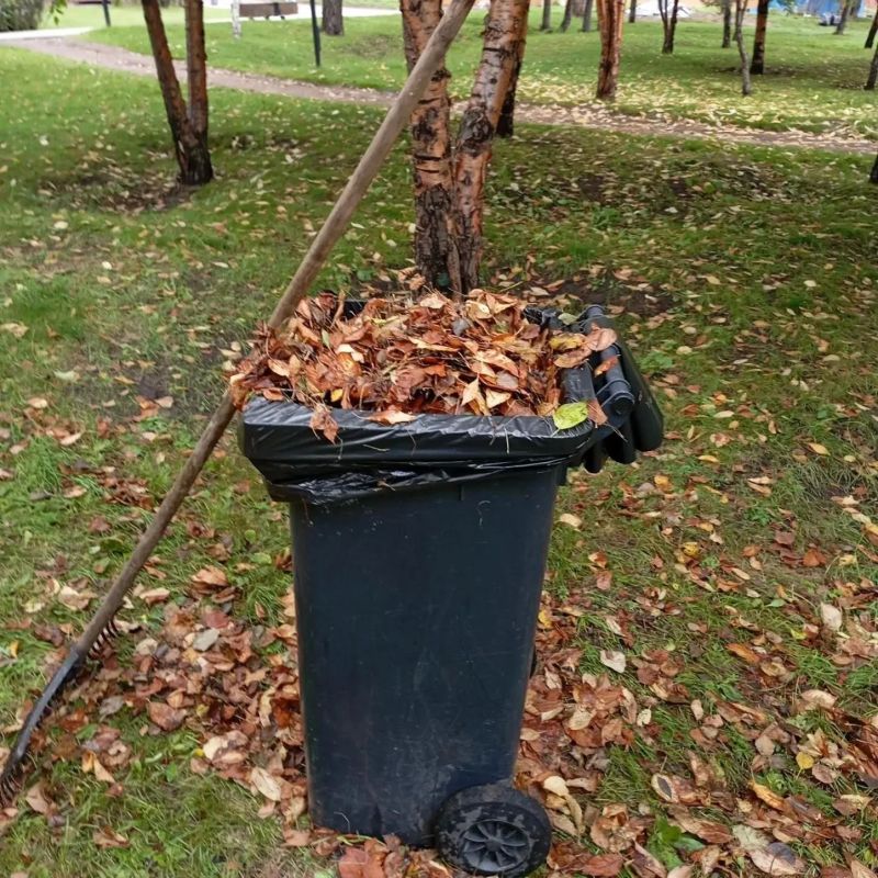 У работников Красгорпарка осенью в галерее особенно много фотографий листьев У работников Красгорпарка осенью в галерее особенно много фотографий листьев