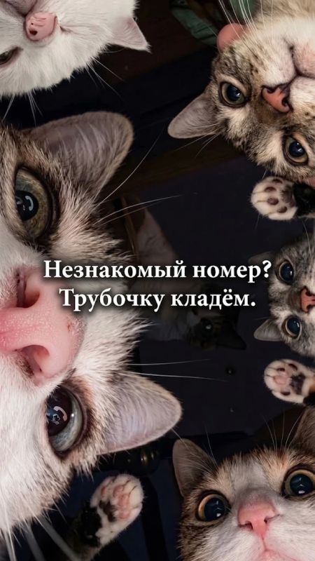 Сверхзащита от кибераферистов Сверхзащита от кибераферистов