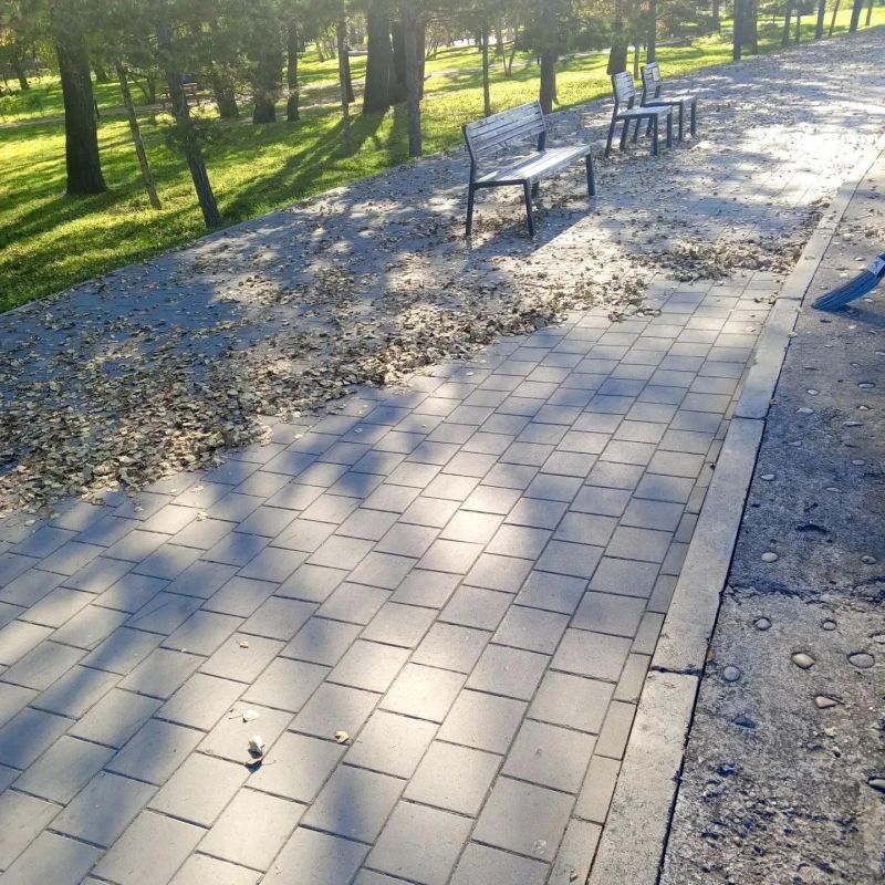 У работников Красгорпарка осенью в галерее особенно много фотографий листьев У работников Красгорпарка осенью в галерее особенно много фотографий листьев