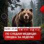 � 15 �� 21 �������� � ������ �������-������������� ������ ����������� ��������� 97 �������� �� ����������� � ��������