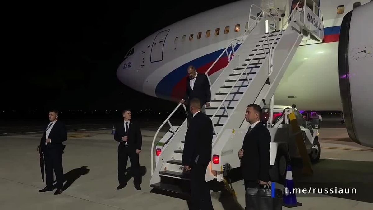 Новости к этому часу:. Медведь убил 39-летнего сторожа в Красноярском крае