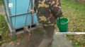 В Енисей выпустили тысячи мальков стерляди
