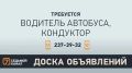 «7 канал Красноярск»: На сайте | ВКонтакте | Одноклассники