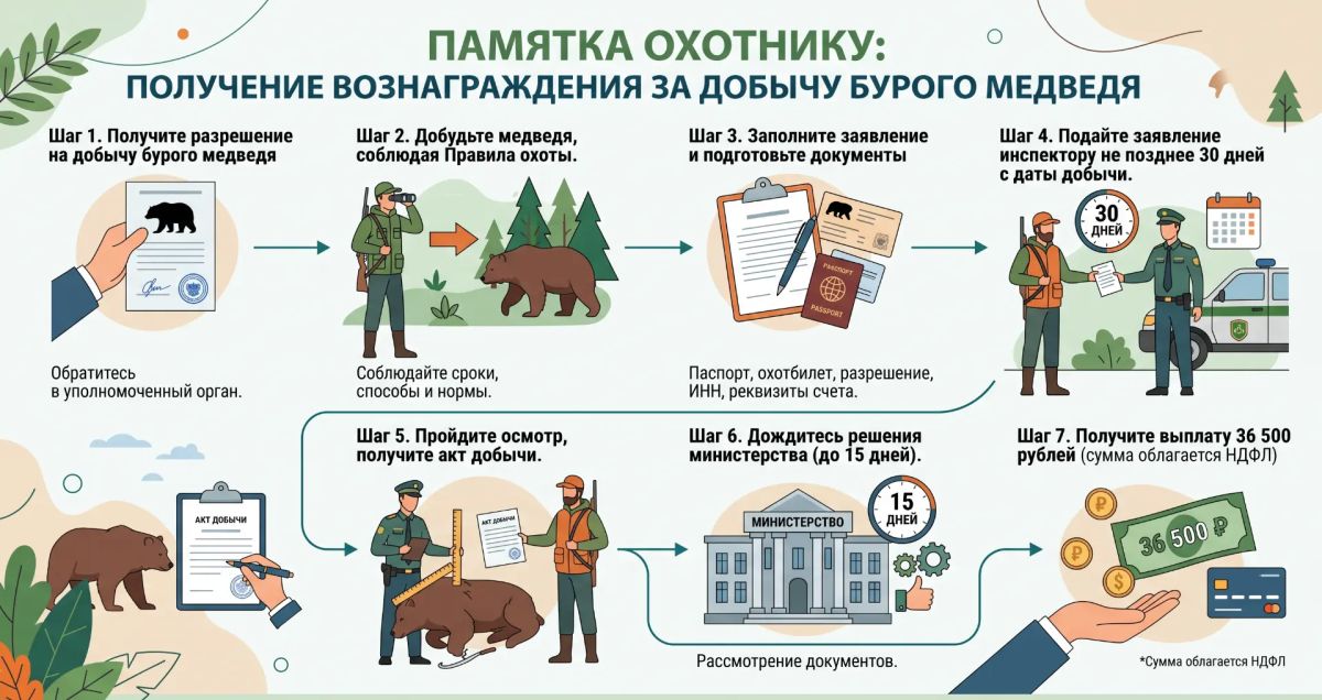 В Красноярском крае установлено вознаграждение за добычу медведя на охоте