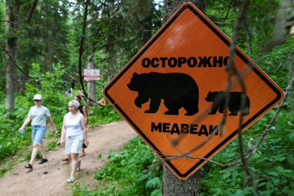 Национальный парк "Красноярские cтолбы", который находится в черте города и является популярным местом отдыха туристов со всей России, закрыли с 25 сентября для посещения из-за обострившейся ситуации с медведями, сообщает...