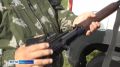 Более 50 охотников обратились за вознаграждением за добычу медведя в крае