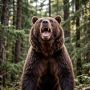 Трагедия в Вознесенке. Сегодня рано утром в селе Вознесенка Ирбейско-Саянского округа женщина погибла в результате нападения медведя