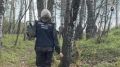 Оперативное видео с осмотра места происшествия