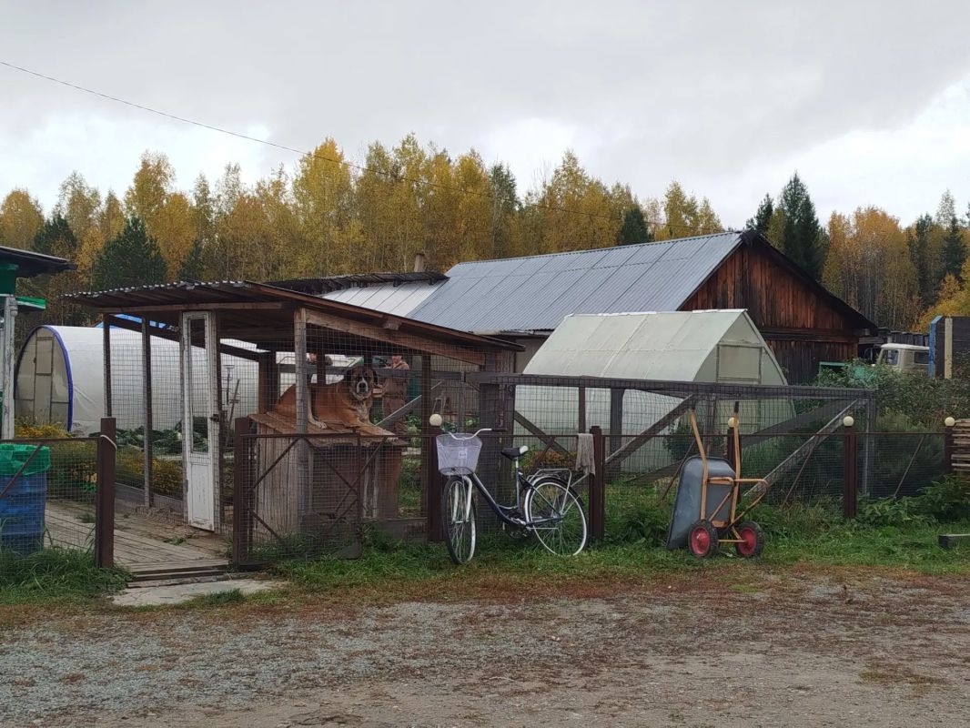 Сегодня был в Потапово.. Вручил руководителю территориального подразделения Вере Зибровой диплом и сертификат от Совета муниципальных образований края за участие в конкурсе на лучшую организацию работы в муниципальном... Сегодня был в Потапово.. Вручил руководителю территориального подразделения Вере Зибровой диплом и сертификат от Совета муниципальных образований края за участие в конкурсе на лучшую организацию работы в муниципальном...