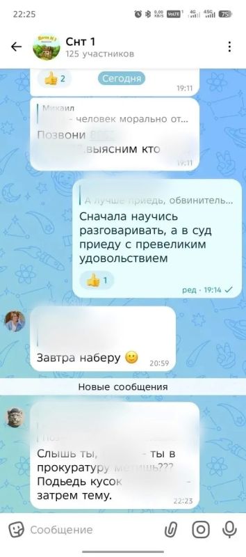 Спор о взносах вышел за рамки чата: жителя Шушенского оштрафовали за высказывания о русских Спор о взносах вышел за рамки чата: жителя Шушенского оштрафовали за высказывания о русских