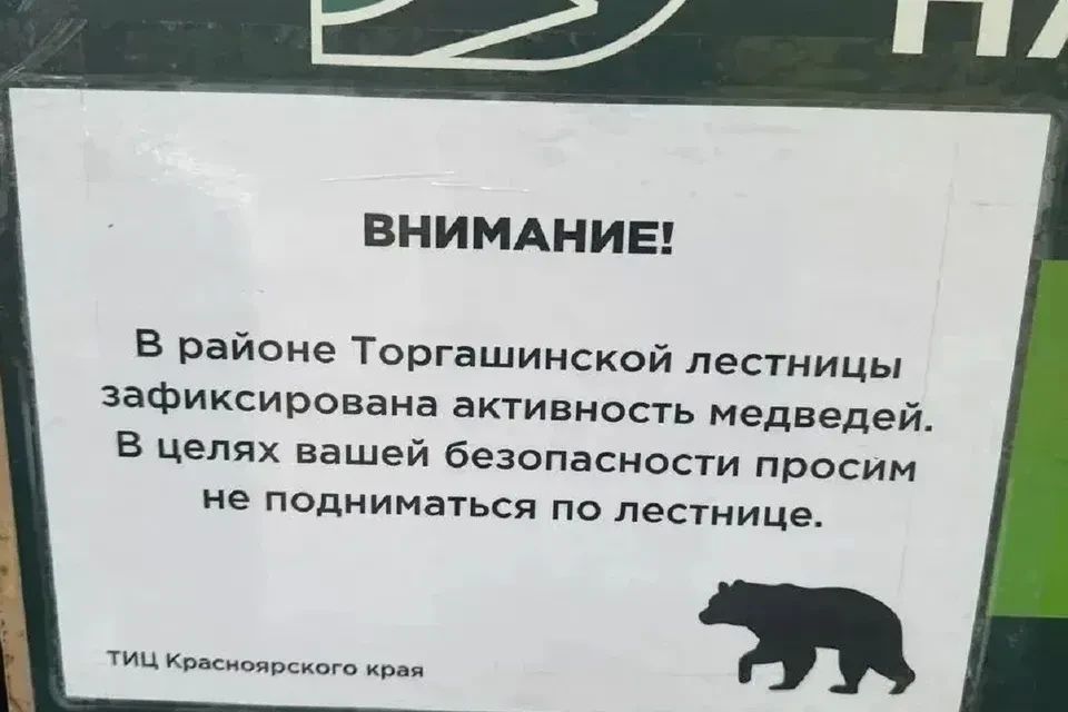 В Красноярске закрыли Торгашинскую лестницу из-за угрозы нападения медведей