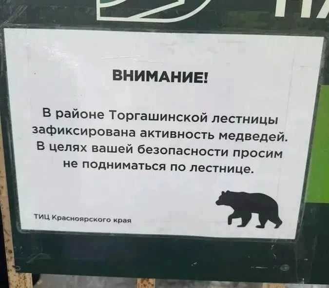 Медведи выгнали туристов с самой длинной лестницы России