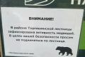 � ����������� ������� ������������ �������� ��-�� ������ ��������� ��������
