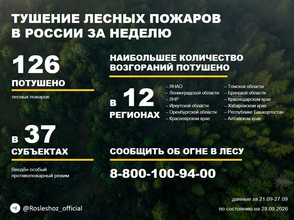 По данным Авиалесоохраны, подведомственной организации Рослесхоза, за прошедшую неделю потушено 126 лесных пожаров в 26 регионах России