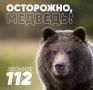 ВАЖНО: В лесах Нижнеингашской территории замечен бурый медведь