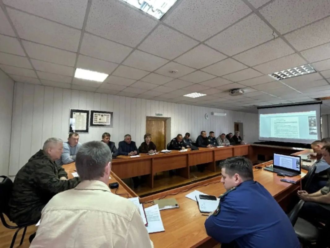 Полиция обезвредила медведя: в округе вводят повышенную готовность Полиция обезвредила медведя: в округе вводят повышенную готовность