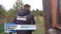 В Минусинском и Емельяновском округах введён режим повышенной готовности из-за активности медведей
