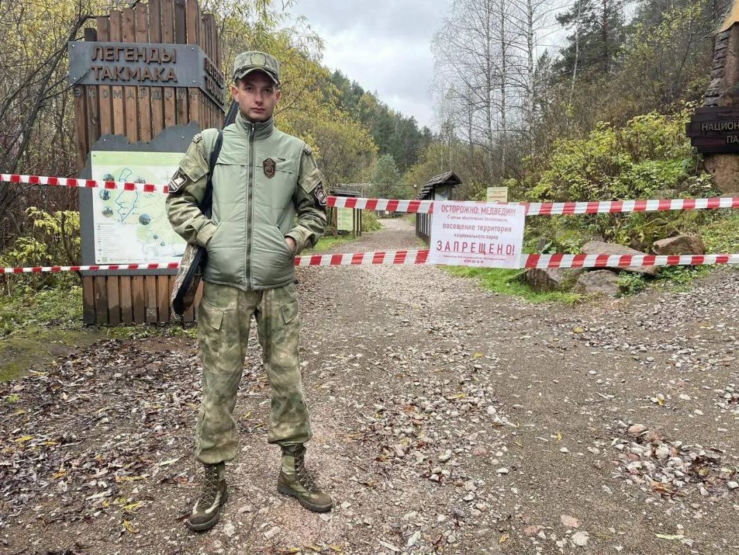 Туристов будут штрафовать за посещение "Красноярских столбов" во время нашествия медведей