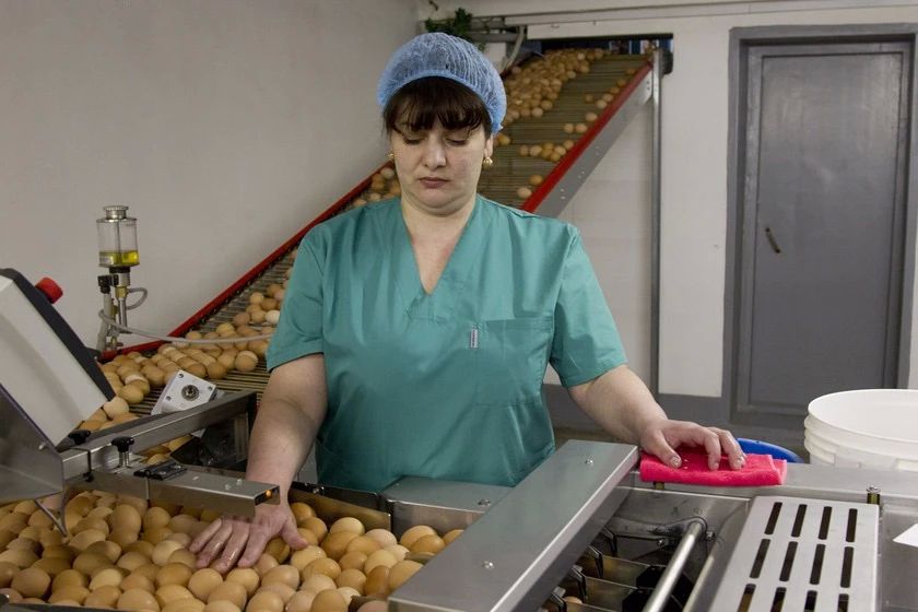 С начала года в крае 200 молодых специалистов агропромышленного комплекса получили по миллиону рублей на обустройство на селе С начала года в крае 200 молодых специалистов агропромышленного комплекса получили по миллиону рублей на обустройство на селе