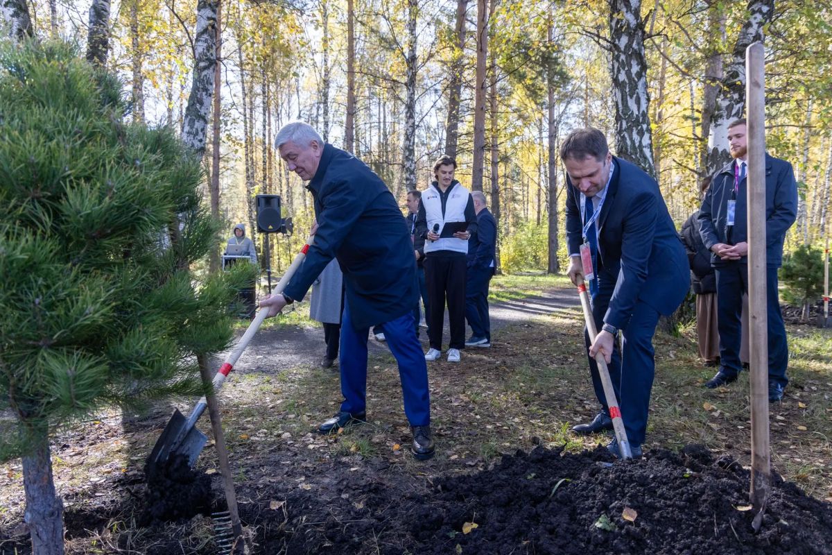 В Красноярске финалисты Олимпиады высадили сосны в знак дружбы В Красноярске финалисты Олимпиады высадили сосны в знак дружбы