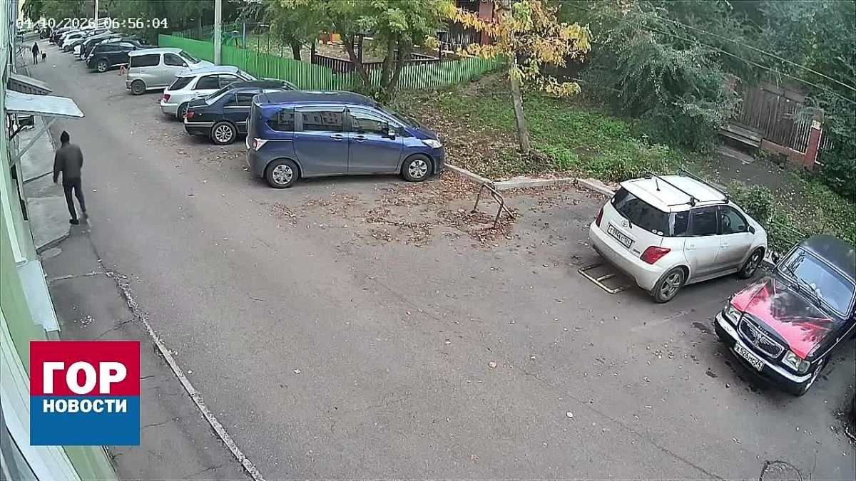Красноярец распылил перцовку в морду собаки своих соседей