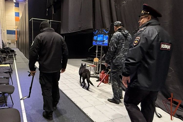 В Красноярске росгвардейцы обеспечили правопорядок во время финала VI Международной олимпиады по финансовой безопасности В Красноярске росгвардейцы обеспечили правопорядок во время финала VI Международной олимпиады по финансовой безопасности