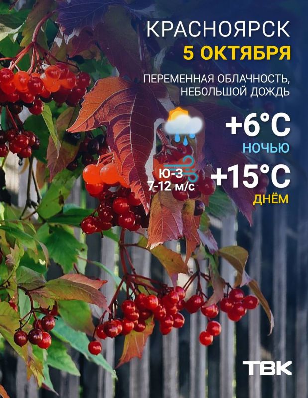 Погода на сегодня. ТВК в MAX | Telegram | ВК | Буст