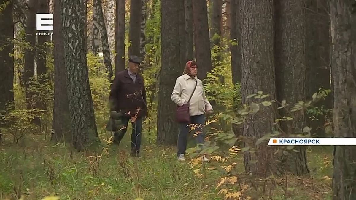 Предстоящая зима в крае может стать одной из самых тёплых за 100 лет