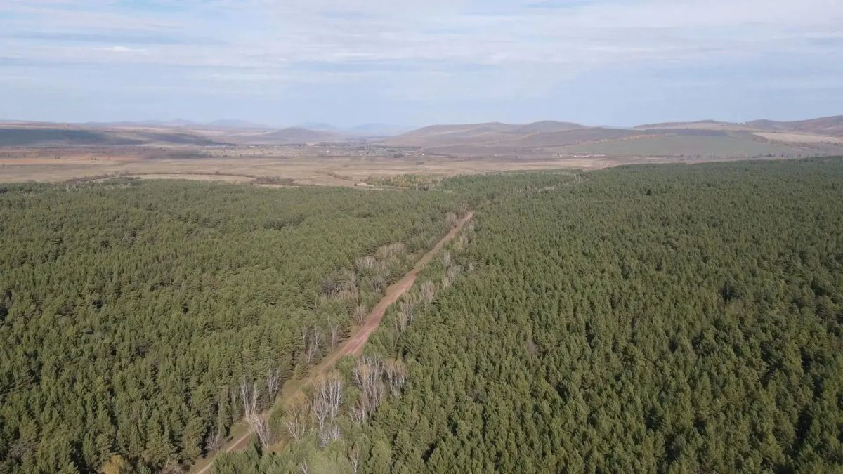 Инспекторы Лесной охраны проинспектировали Курагинское лесничество, задействовав для мониторинга беспилотные летательные аппараты