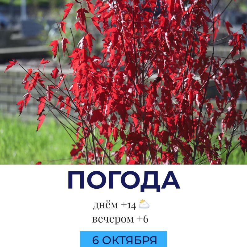 Погода сегодня. @gornovosti «Горновости» в ВК | «Горновости» в МАХ