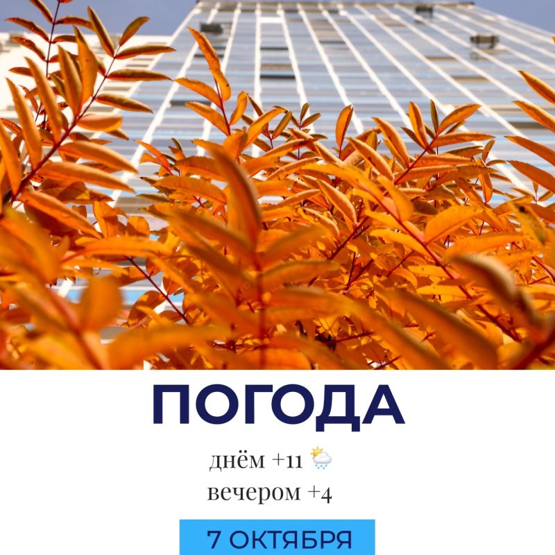 Погода сегодня