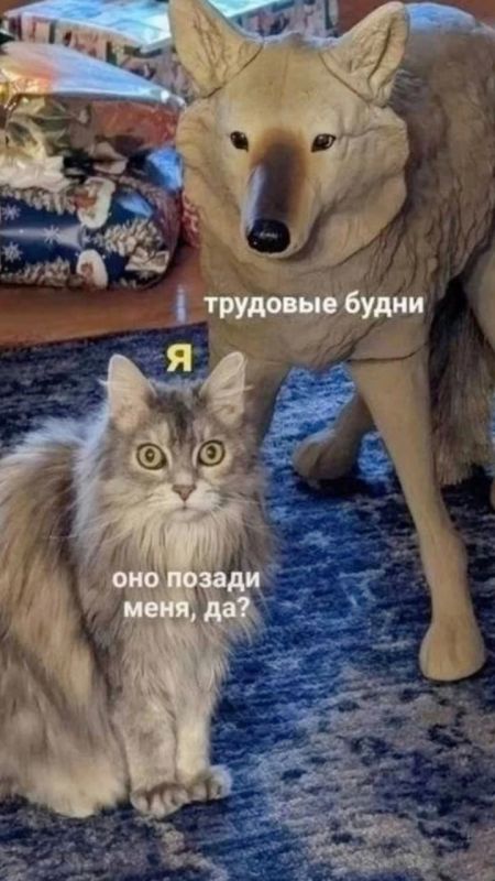 Да и еще раз да! Эээтот момент настал