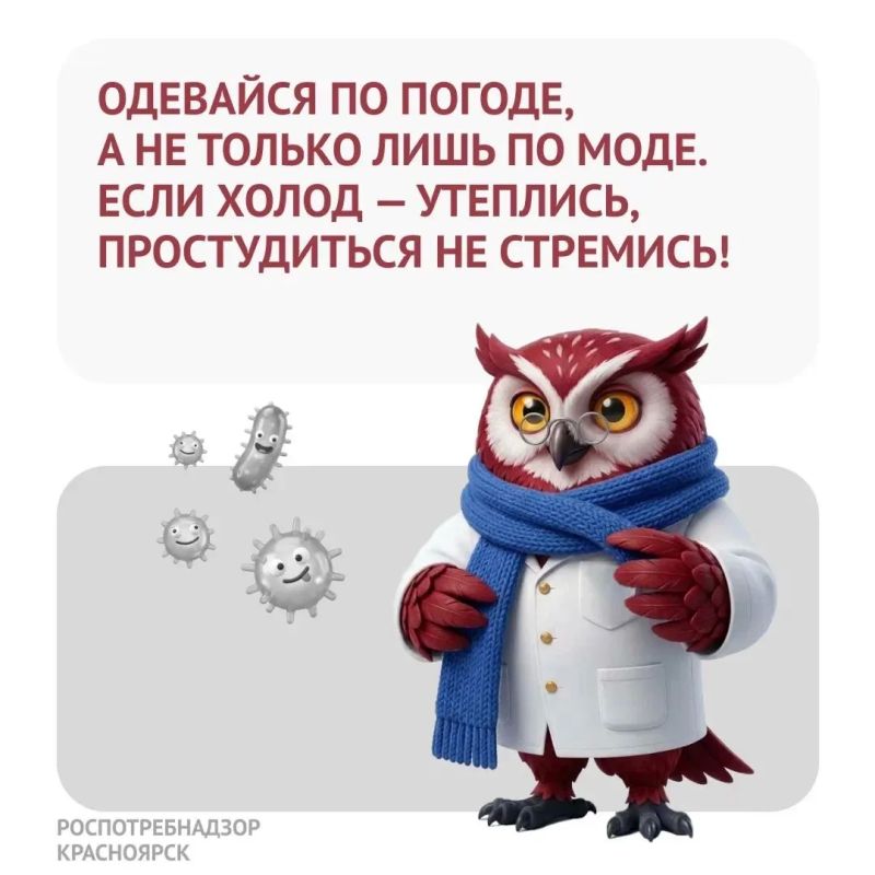 Вирусы обожают героев — тех, кто с температурой идёт на работу, в школу, в гости, в магазин Вирусы обожают героев — тех, кто с температурой идёт на работу, в школу, в гости, в магазин