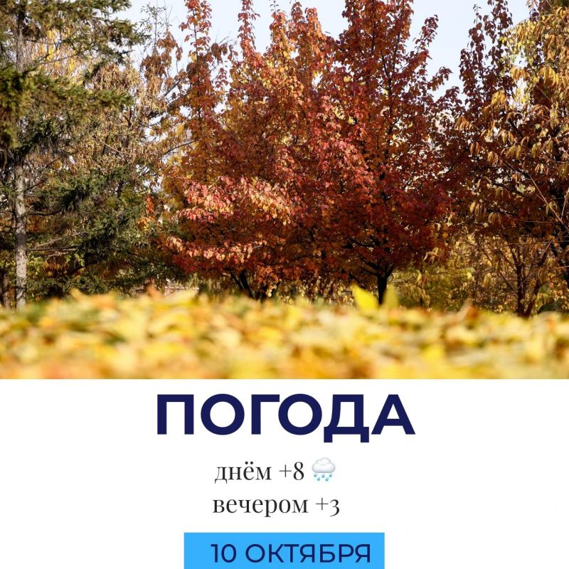 Погода сегодня