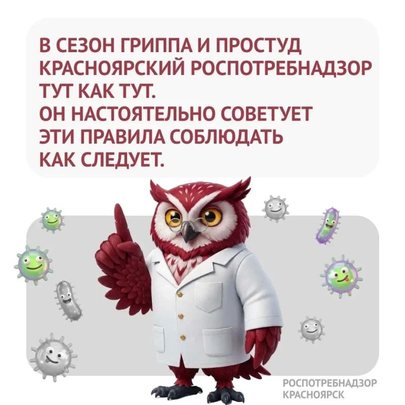Вирусы обожают героев — тех, кто с температурой идёт на работу, в школу, в гости, в магазин