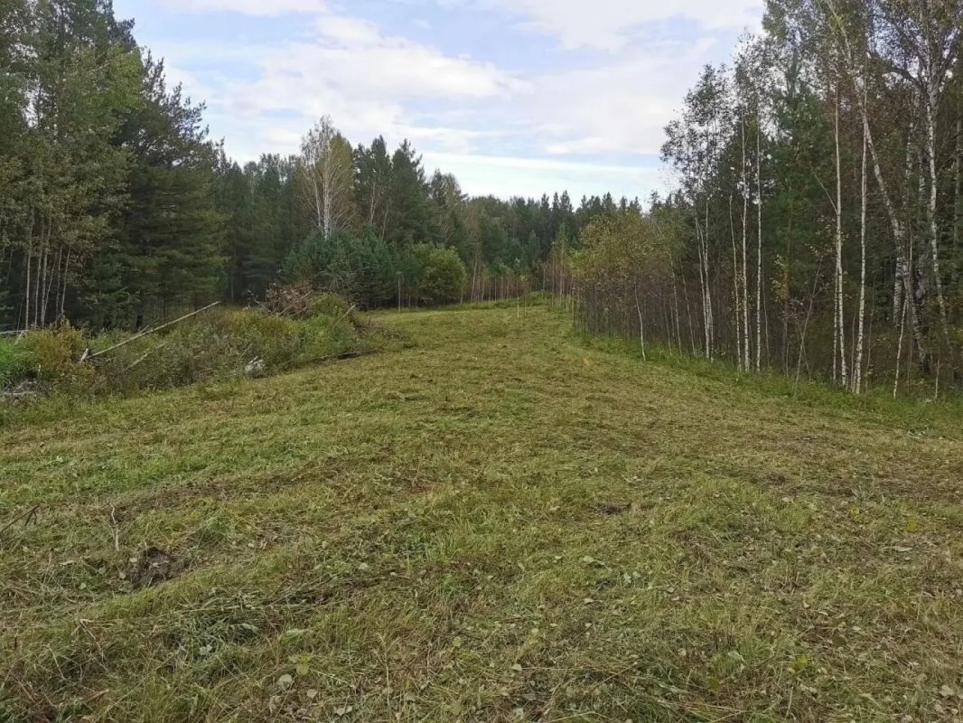 В Красноярском крае выявили более 58 тыс