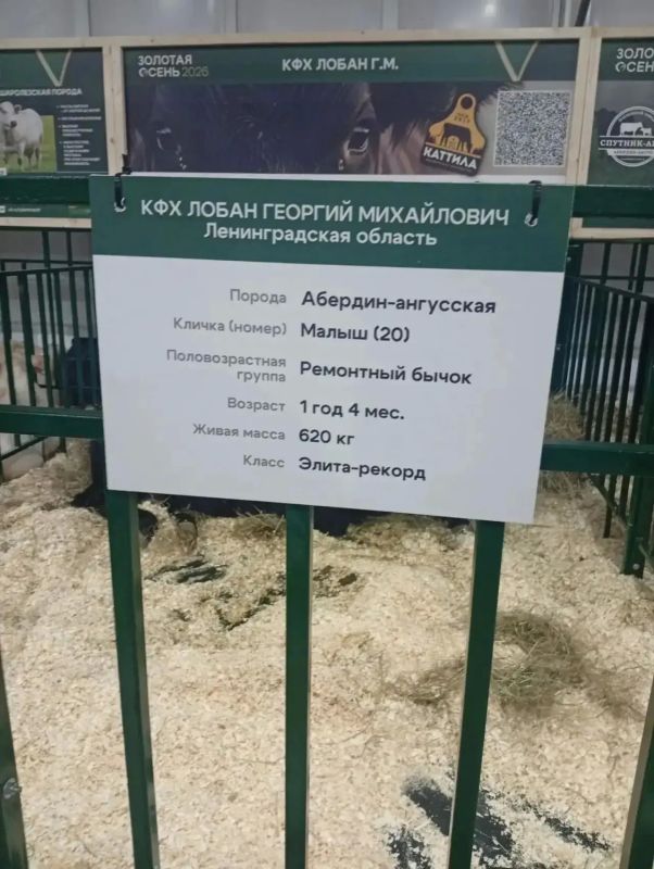 Делегация Идринско-Краснотуранского округа побывала на выставке «Золотая осень — 2026» в Москве Делегация Идринско-Краснотуранского округа побывала на выставке «Золотая осень — 2026» в Москве