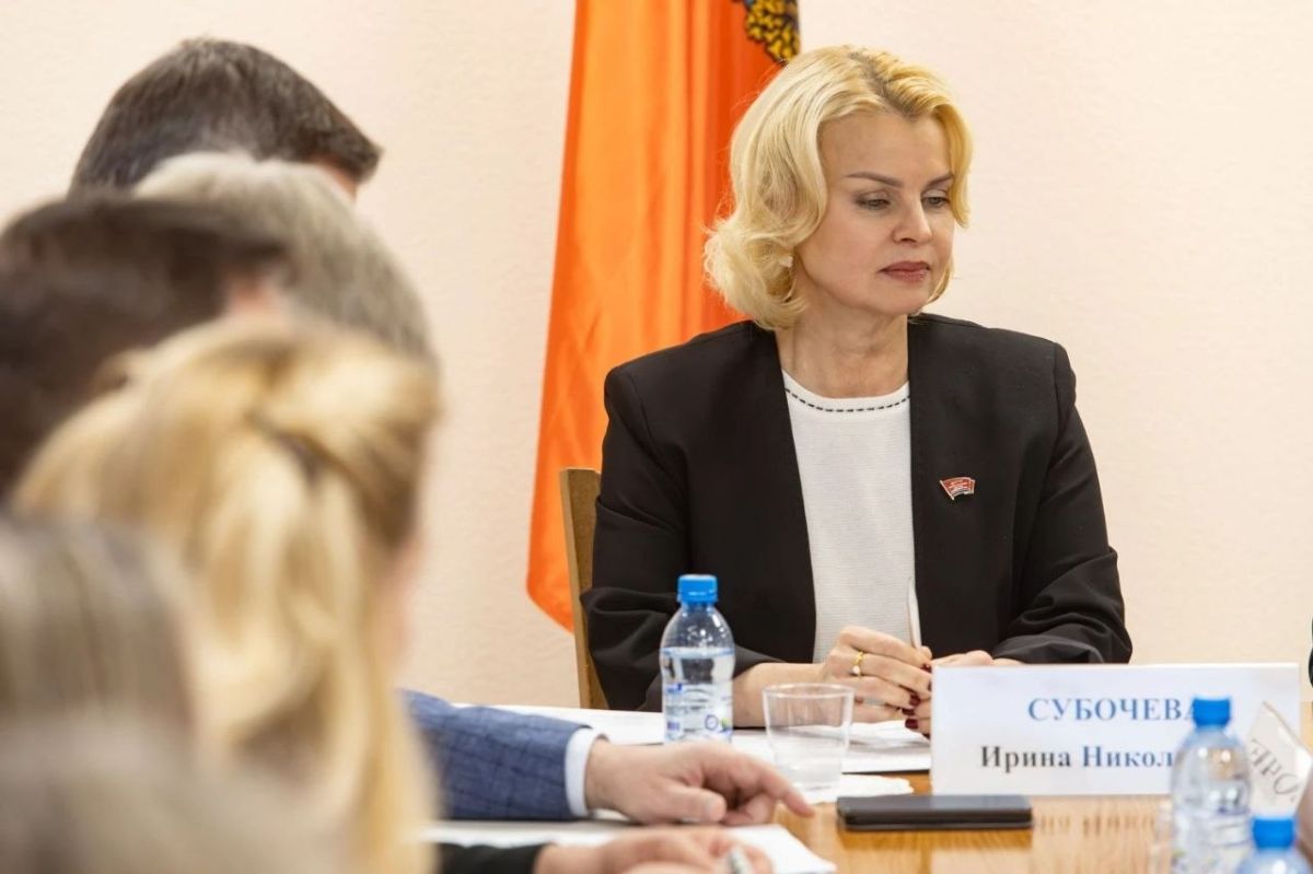 Депутаты северного комитета поддержали корректировку бюджета