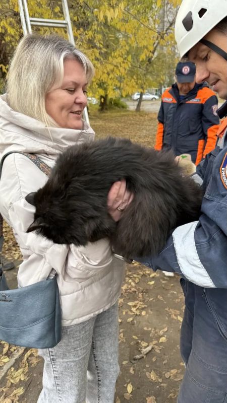 Снятый с дерева спасателями Минусинска котенок обрёл семью