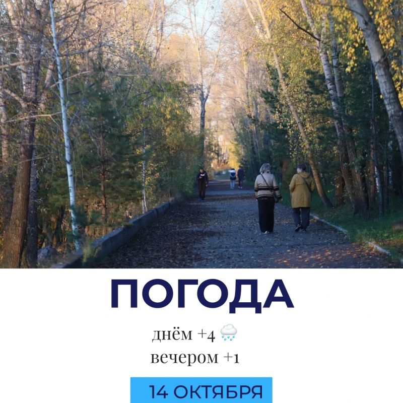 Погода сегодня