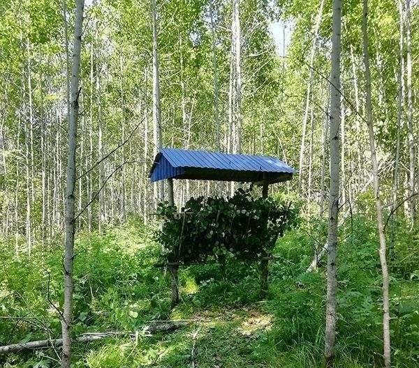 14 октября — День работников заповедного дела 14 октября — День работников заповедного дела