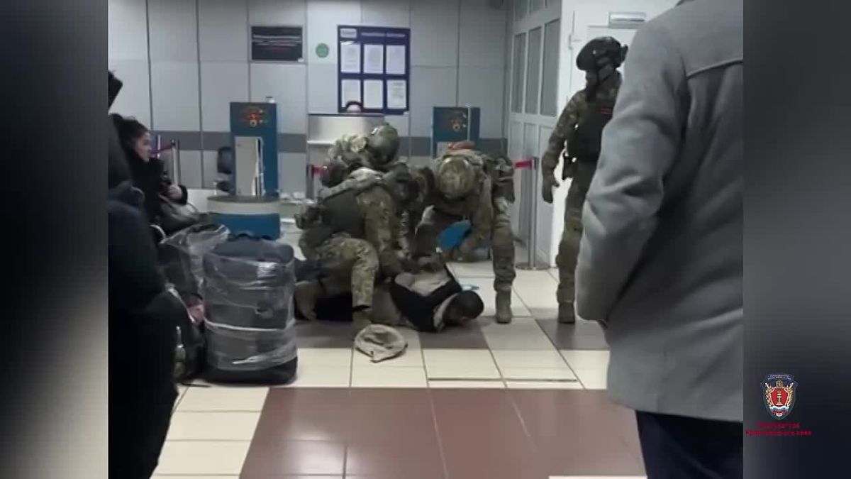 В Норильск ехали строить, а оказывались в «Плов Хаусе»: перед судом предстанут пятеро участников схемы незаконной миграции