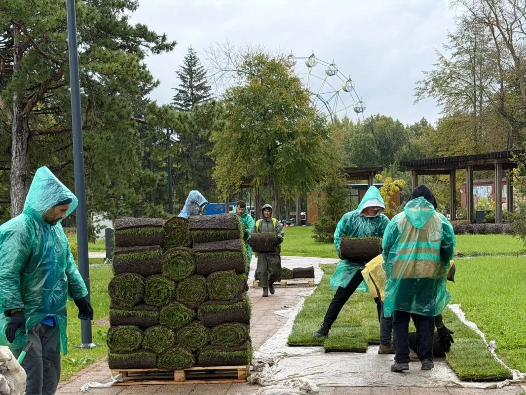 В Центральном парке Красноярска продолжается масштабное озеленение