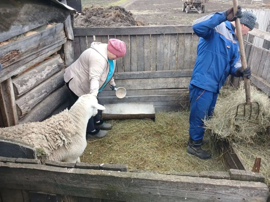 В Красноярском крае завершился приём заявок от многодетных семей на оказание финансовой помощи в размере до 70 тысяч рублей на развитие личного подсобного хозяйства В Красноярском крае завершился приём заявок от многодетных семей на оказание финансовой помощи в размере до 70 тысяч рублей на развитие личного подсобного хозяйства
