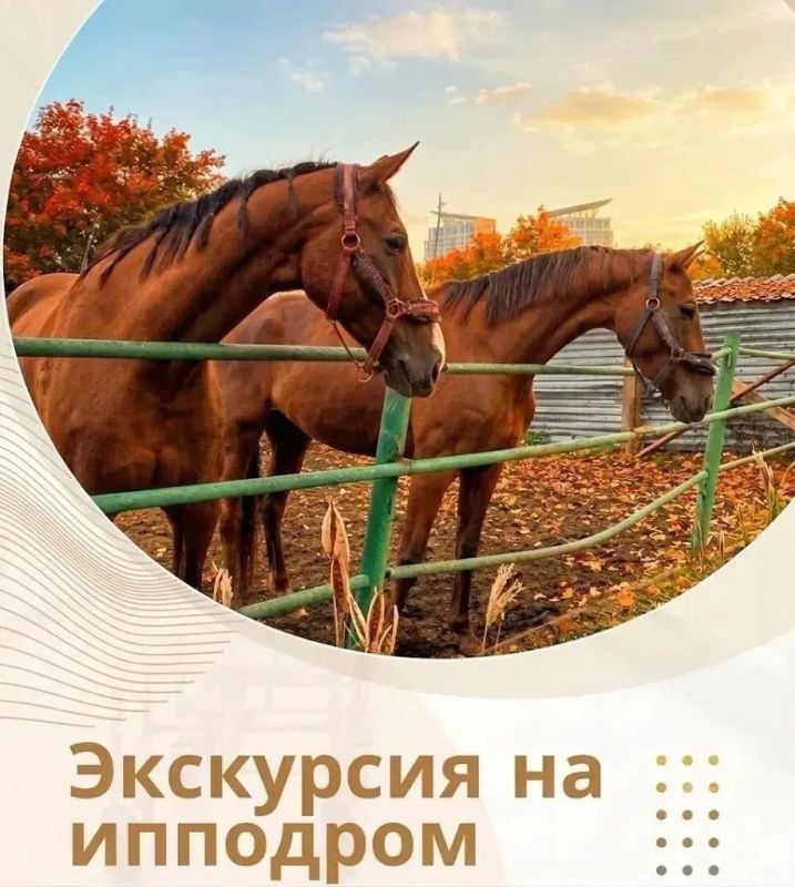 Афиша семейных выходных в Красноярске! Афиша семейных выходных в Красноярске!