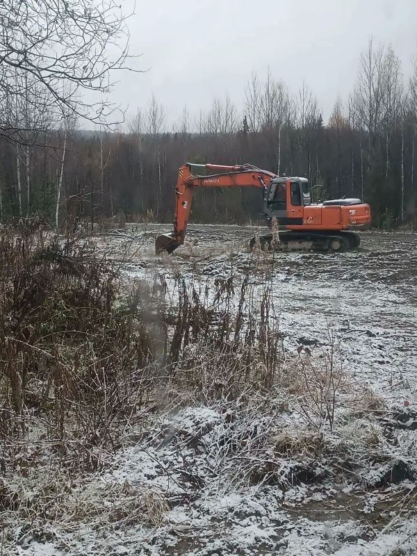 Продолжаем наши «вести с полей» Продолжаем наши «вести с полей»