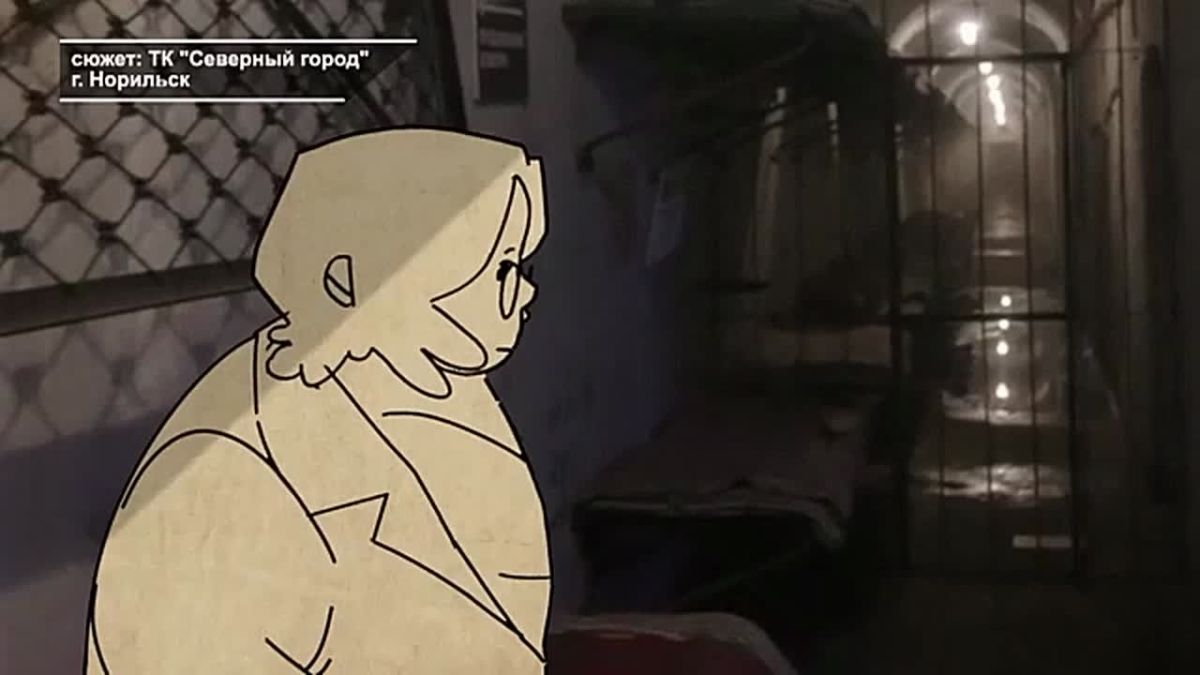 СНЯТО С УМОМ. Впервые в Норильске стартовал фестиваль актуального научного кино